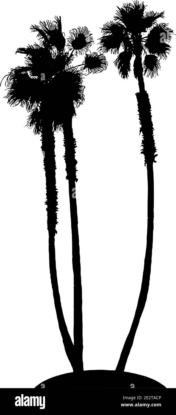 Palm Trees su isola silhouette vettoriale grafico su sfondo bianco Illustrazione Vettoriale