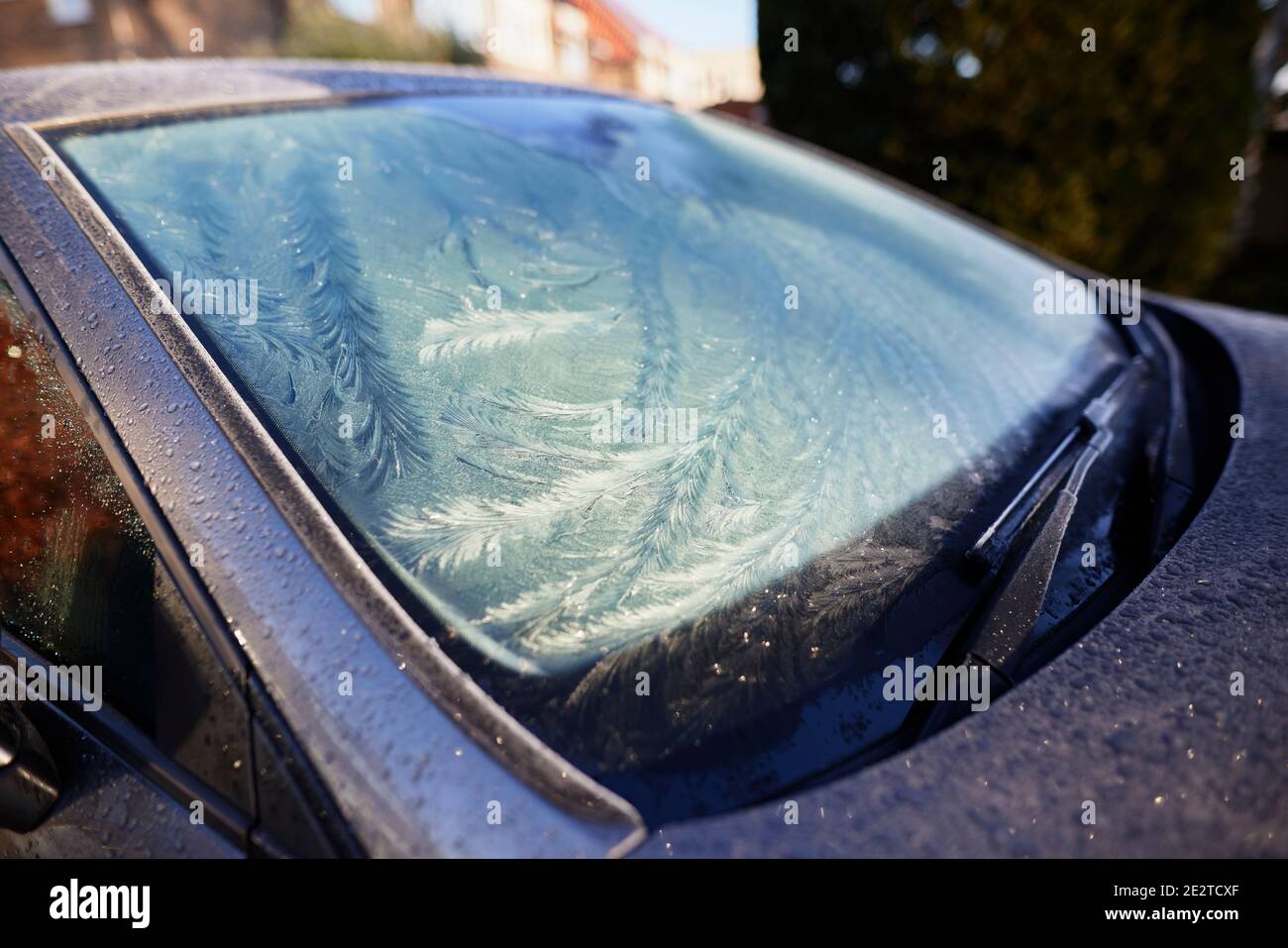 Parabrezza dell'auto congelato Foto Stock