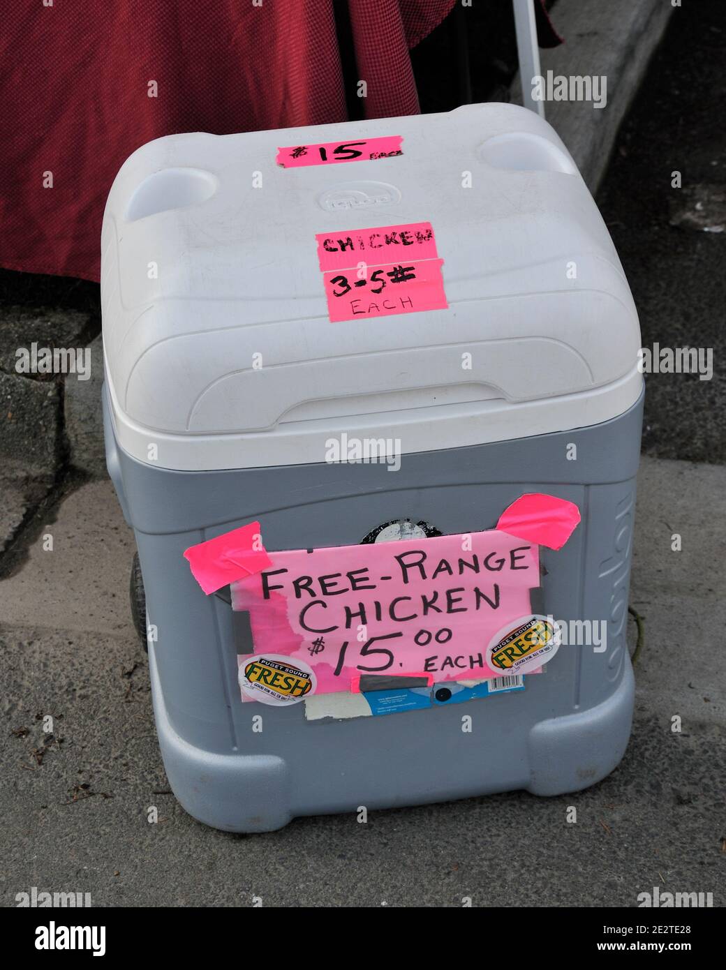 Non è l'idea di Free-Range di tenerlo fuori da una scatola? Foto Stock