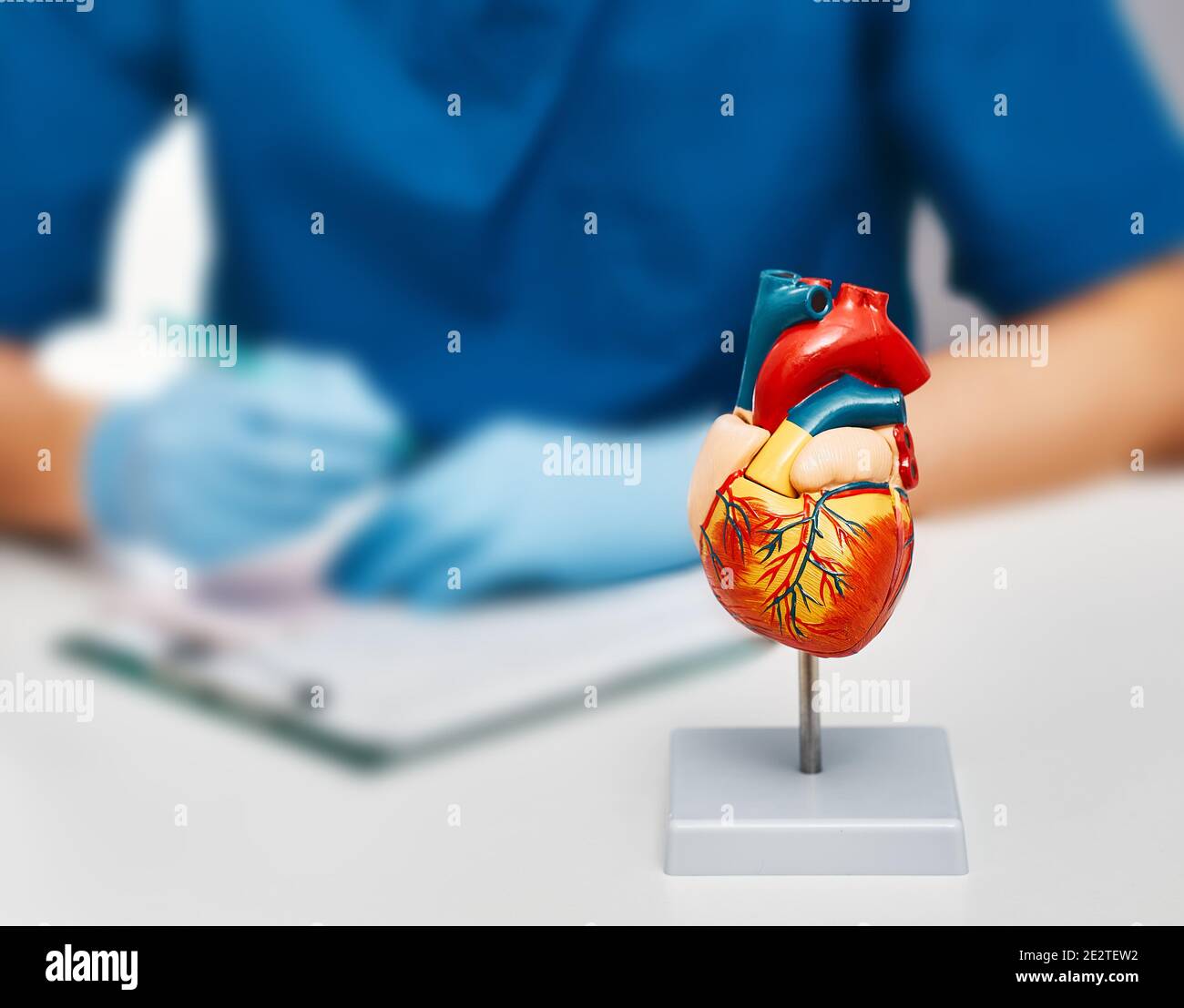 Primo piano, un modello anatomico del cuore umano sul tavolo medico in un ufficio di cardiologia. Concetto di salute del cuore in medicina Foto Stock