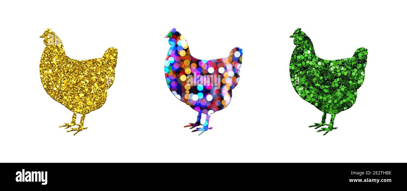 Tre polli con diversi modelli isolati su uno sfondo bianco Foto Stock