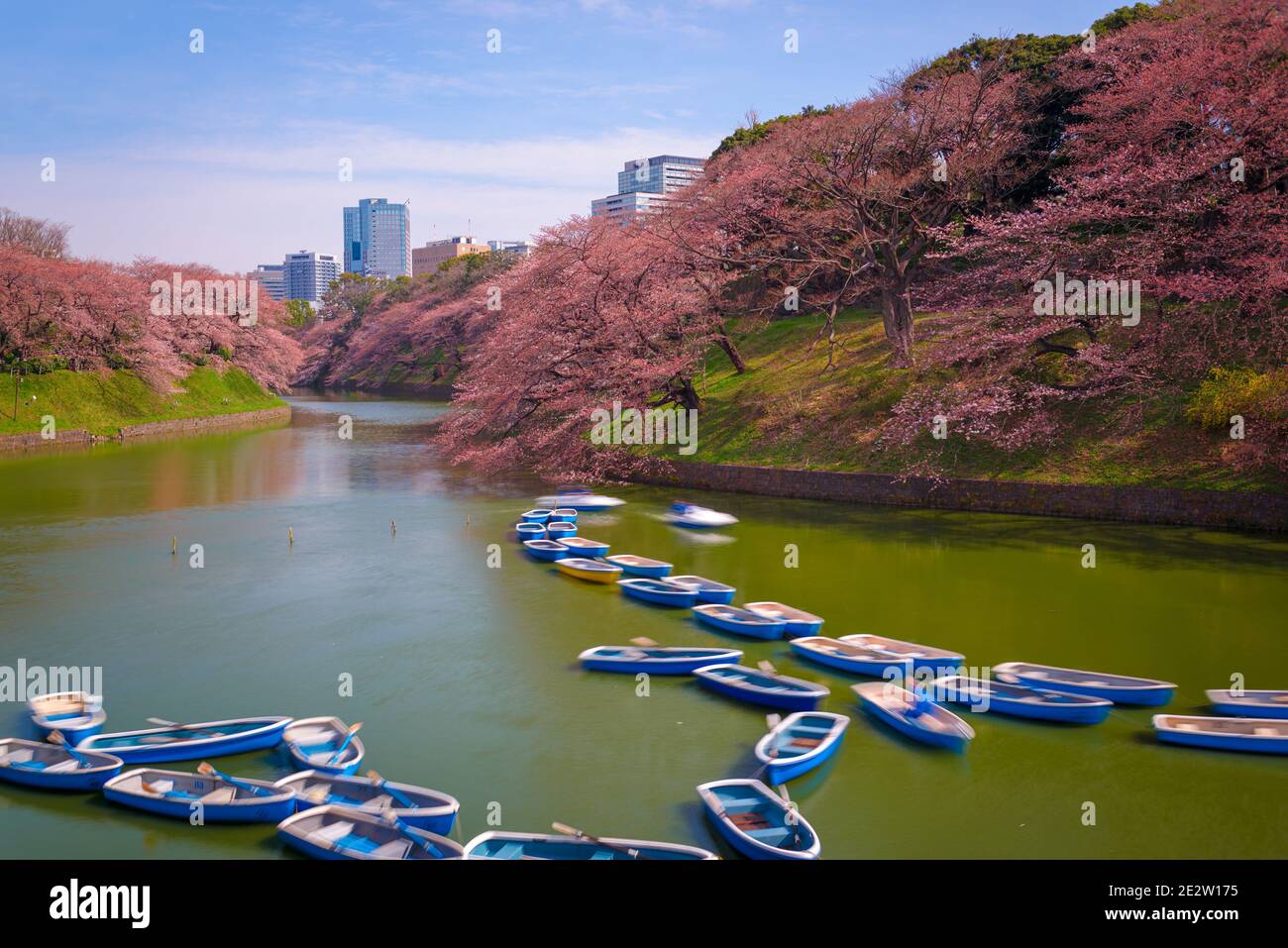 Tokyo, Giappone a Chidorigafuchi Imperial Palace fossato durante la stagione primaverile. Foto Stock