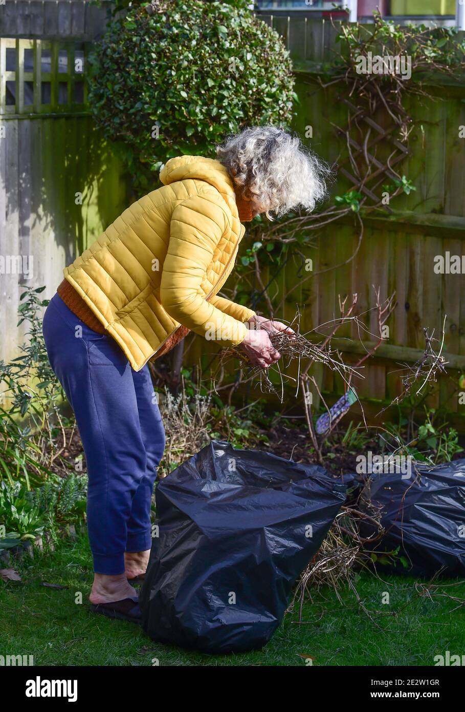 Donna matura di mezza età che ripulì il suo giardino di città durante l'inverno mesi mettendo i rifiuti nei sacchi neri per il riciclaggio Foto Stock