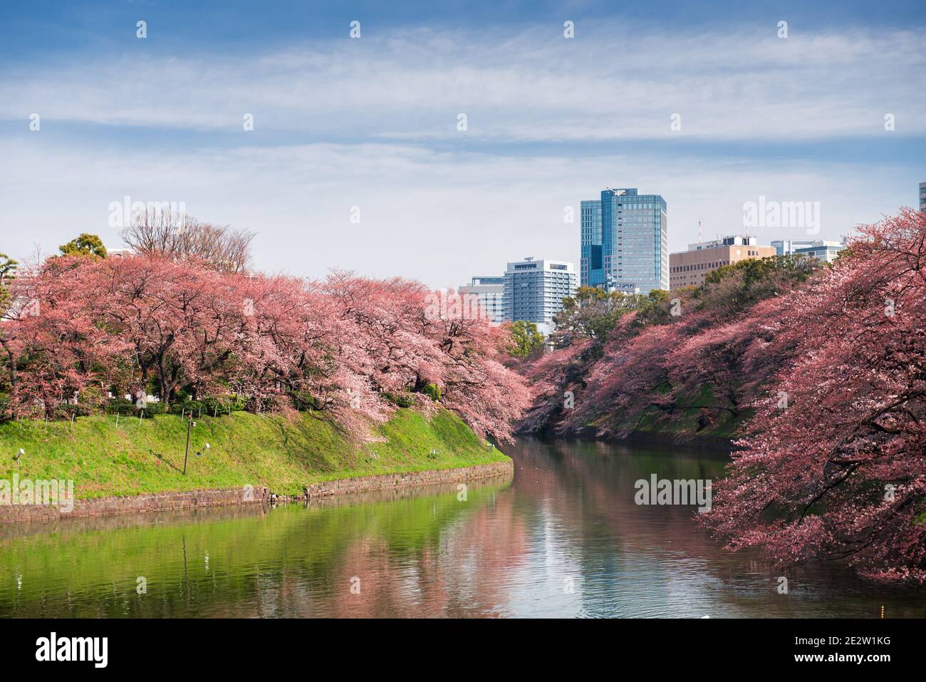Tokyo, Giappone a Chidorigafuchi Imperial Palace fossato durante la stagione primaverile. Foto Stock