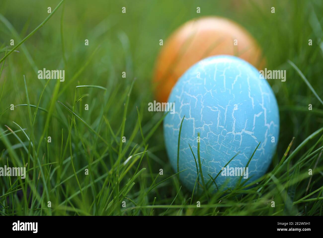 Pasqua uovo Hunt.Pasqua vacanza. Ricerca di uova di Pasqua in erba. Blu e arancio Pasqua dipinto uovo in verde primavera erba.Primavera festa pasqua Foto Stock