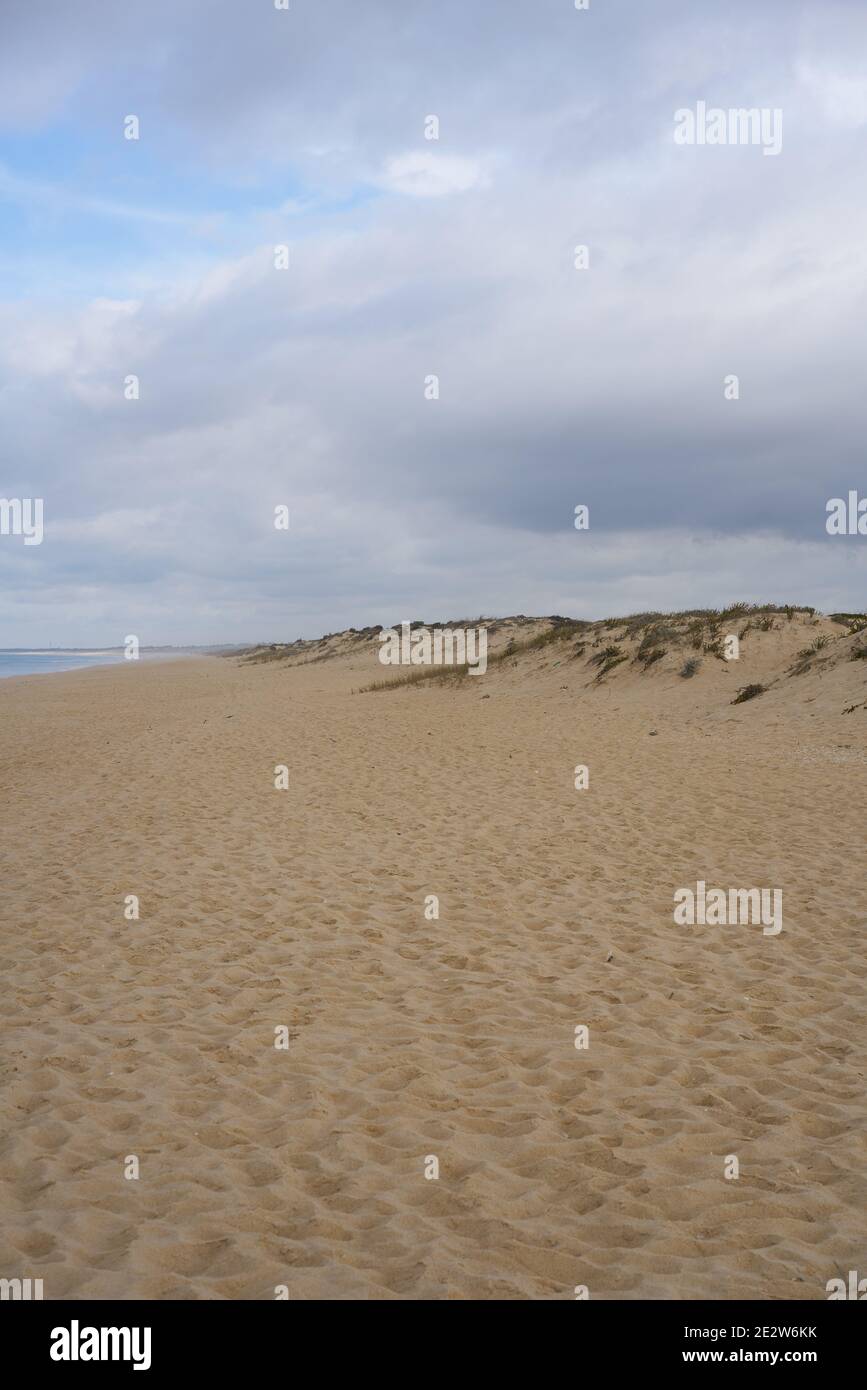 Dune di sabbia con nessuno e una tempesta dietro a Comporta, Portogallo Foto Stock
