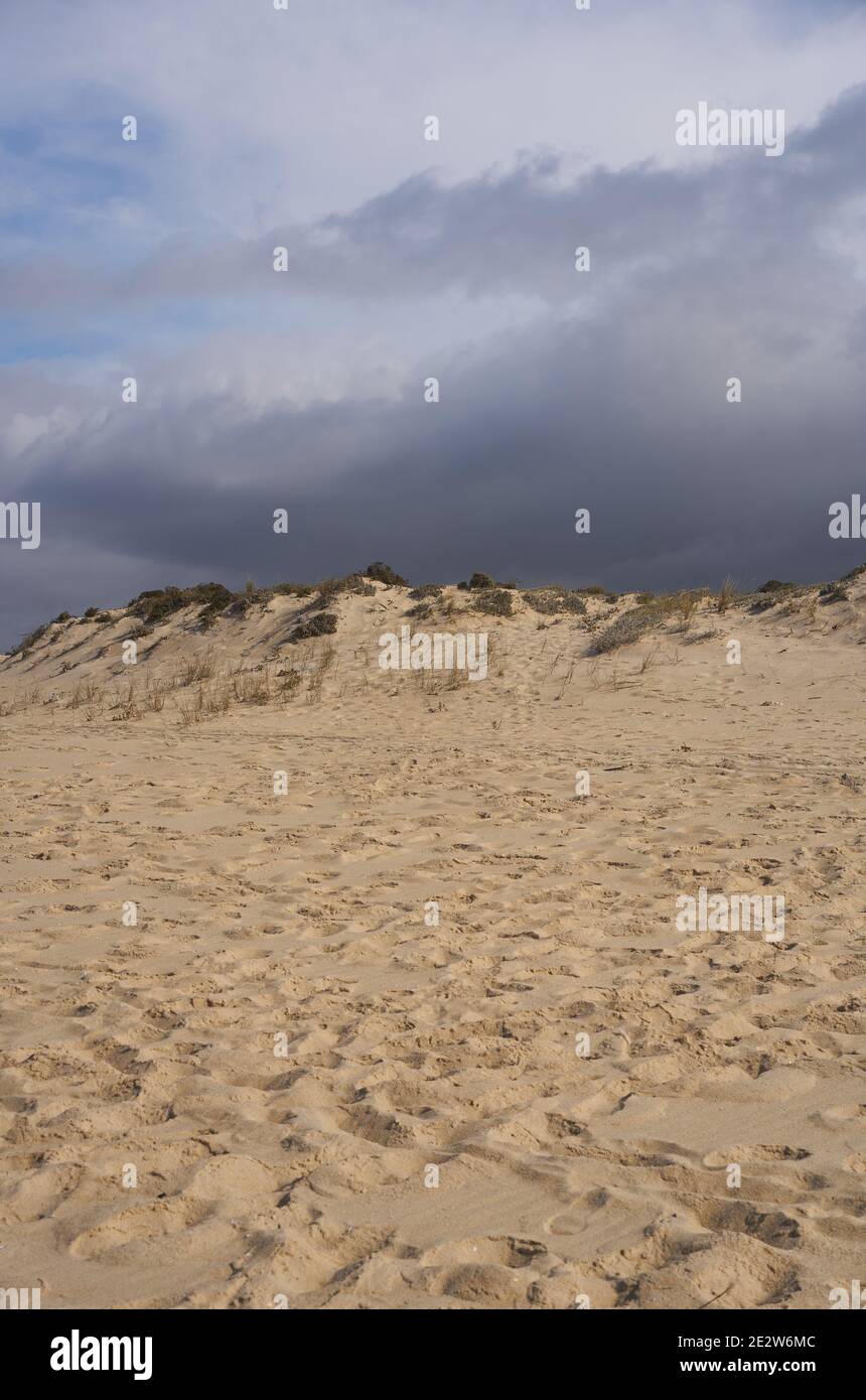 Dune di sabbia con nessuno e una tempesta dietro a Comporta, Portogallo Foto Stock