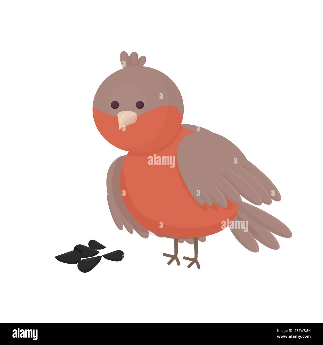 Bullfinch cartoon, adorabile elegante isolato su sfondo bianco. Carino uccello, peperoncino per il saluto di Natale, elemento di design. Illustrazione vettoriale Illustrazione Vettoriale