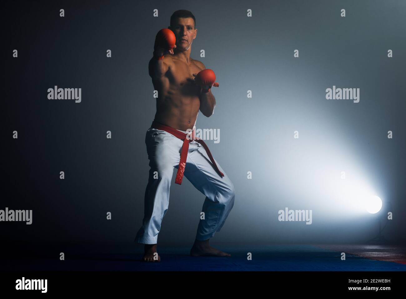 Il Karate uomo con la cintura nera in posa, campione del mondo su sfondo nero studio shot Foto Stock
