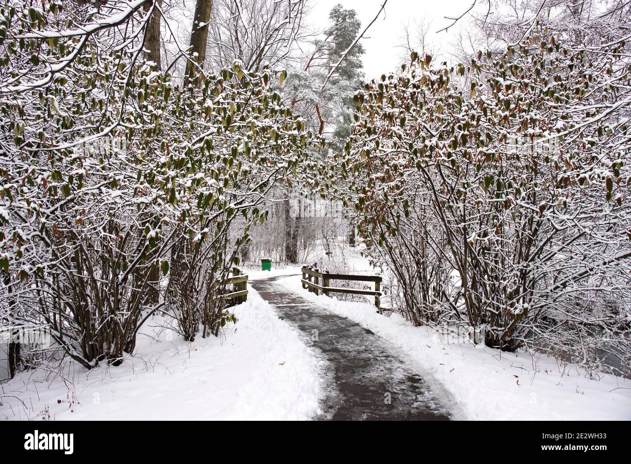 Il paesaggio invernale di Ada Park a Grand Rapids, Michigan Foto Stock