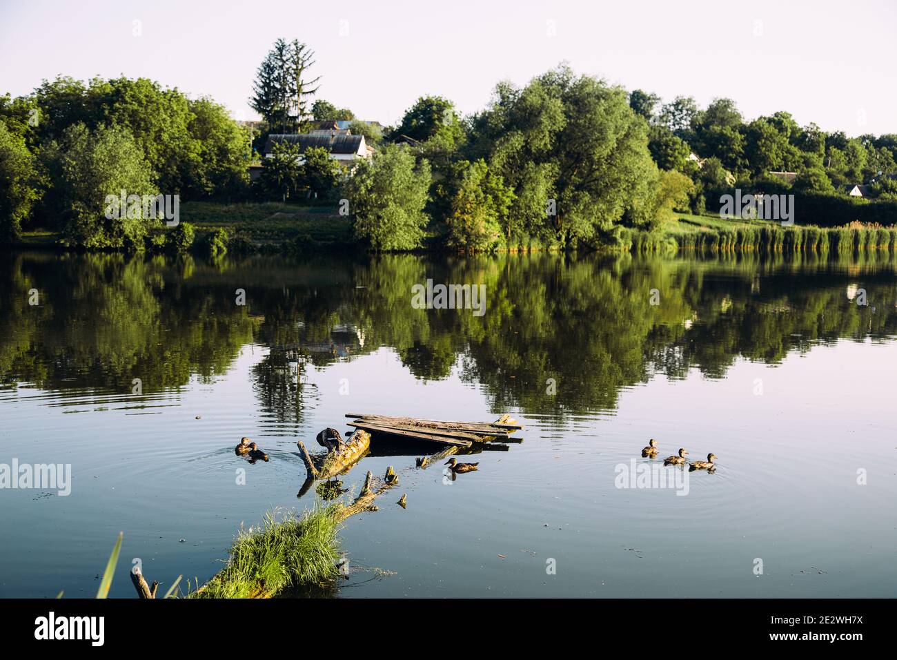 Vista sul lago in village. Natura sfondo. Uccelli e natura Foto Stock