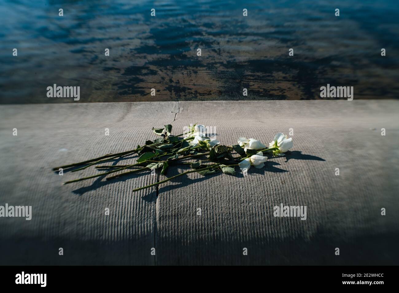 Fiori al di fuori del Campidoglio degli Stati Uniti in ricordo di coloro che sono morti Il 6 gennaio Foto Stock