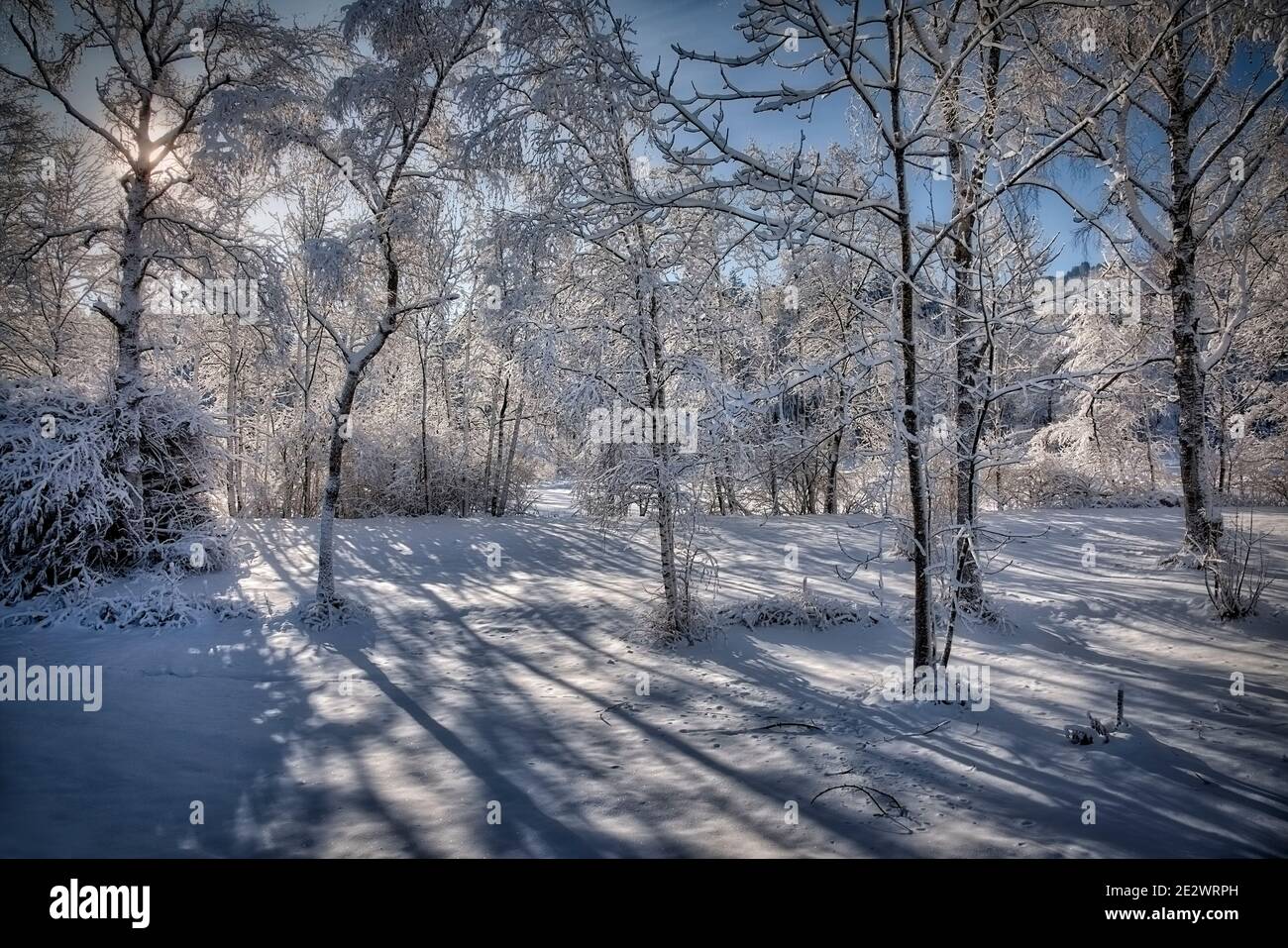 DE - BAVARIA: Scenario invernale soleggiato vicino a Bad Toelz nella Valle d'Isar Foto Stock