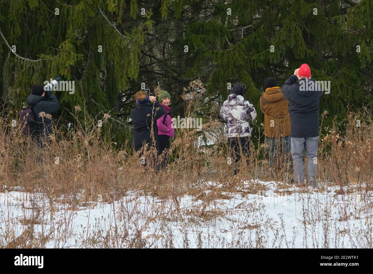 Le regole confuse di Ontario 'stato di emergenza' a causa di Covid, significa che queste persone sono in violazione del soggiorno a casa folla massima di 5. Ottawa, Canada. Foto Stock