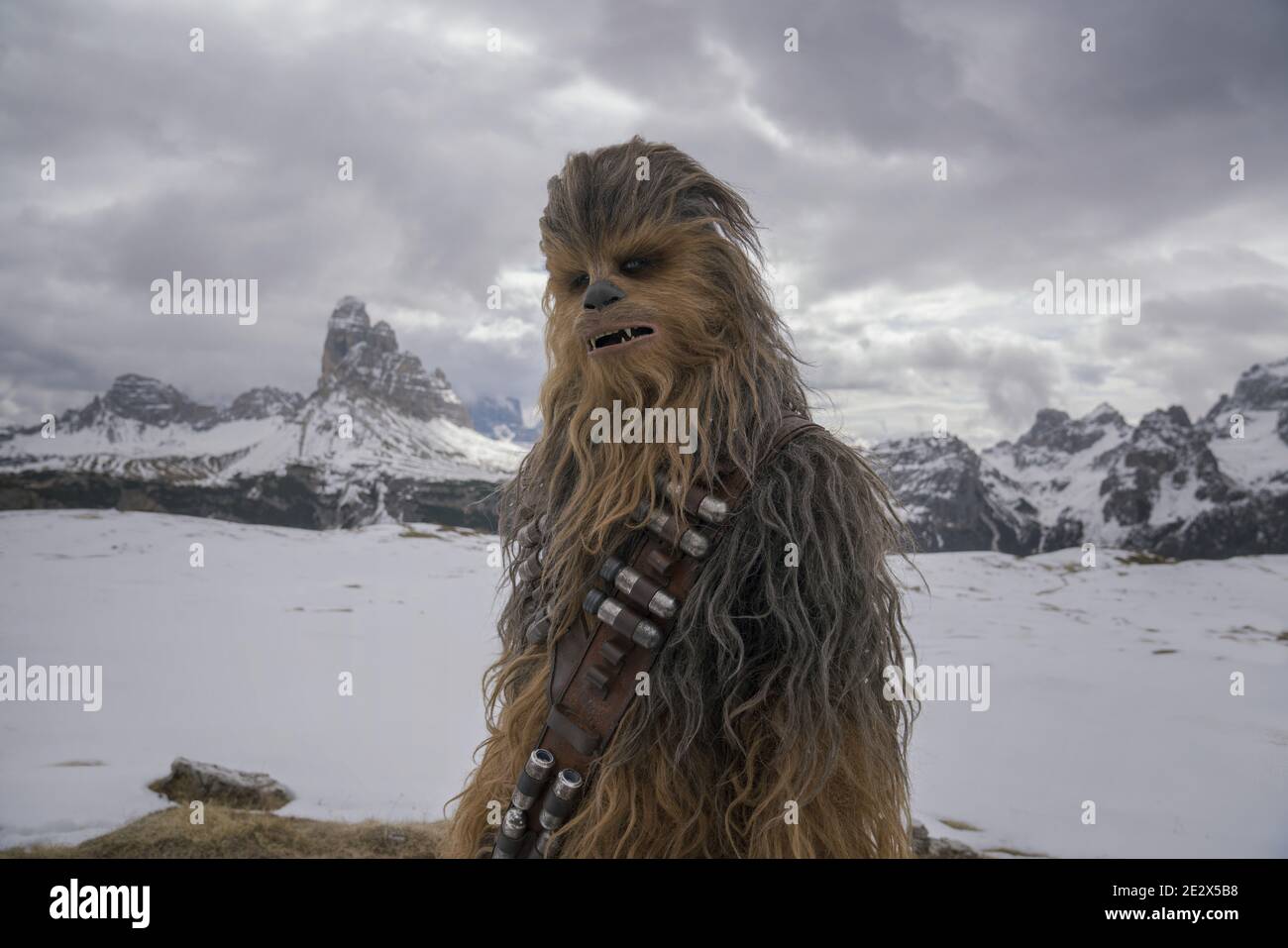 'olo: Una storia di Star Wars': Chewbacca Foto Stock