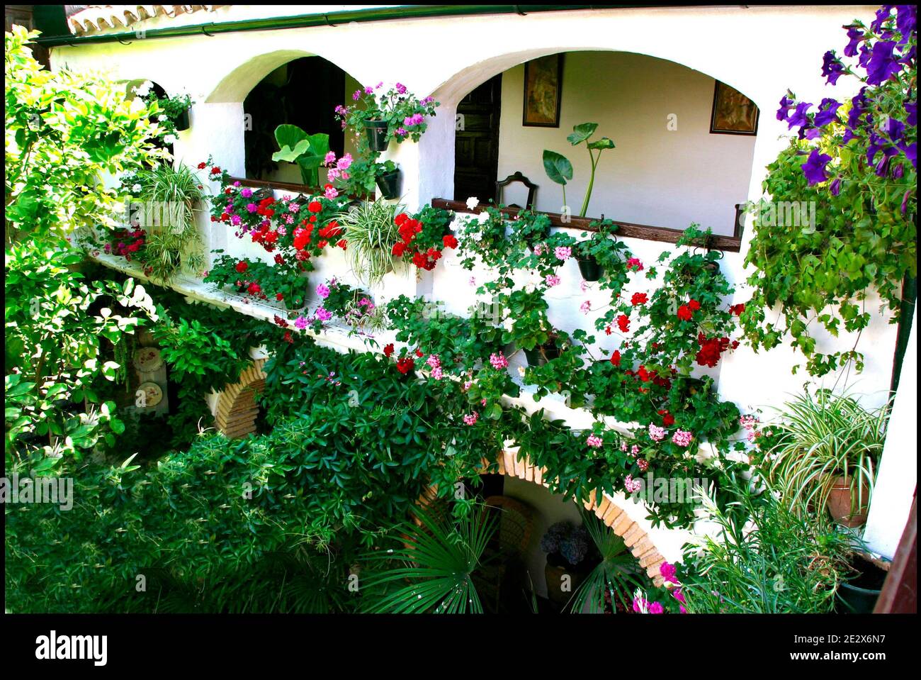 'Patio' raffigurato a Cordova, Spagna il 2009 maggio. Ogni mese di maggio a Cordova (Spagna), dal 1918, è possibile ammirare l'unico 'festival' di giardini e fiori chiamato 'Fiesta de los patios Cordobeses'. Ogni anno gareggia più di 50 giardini, o 'patios', per il primo posto e l'onore di essere riconosciuto il giardino più bello di Cordova. Quest'anno l'evento si svolgerà tra il 5 e il 16 maggio. Foto di Almagro/ABACAPRESS.COM Foto Stock