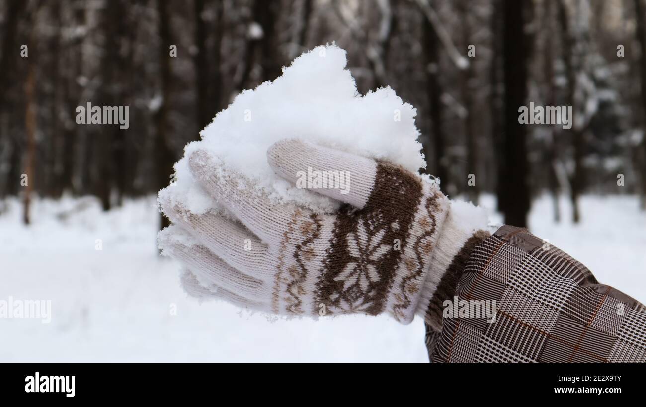 Le mani da donna in guanti lavorati a maglia trattengono la neve bianca morbida naturale all'aperto in una giornata invernale. Gioioso inverno. Le mani trattengono la neve fredda. Trascorrere il tempo a natu Foto Stock