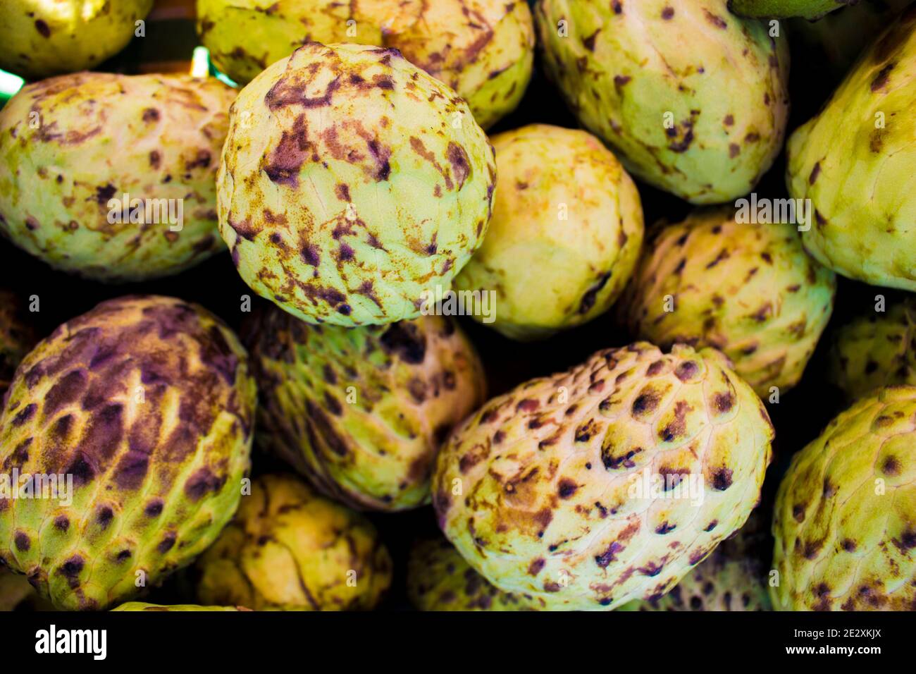 Multipli verdi crudi ananas-frutti raggruppati Foto Stock