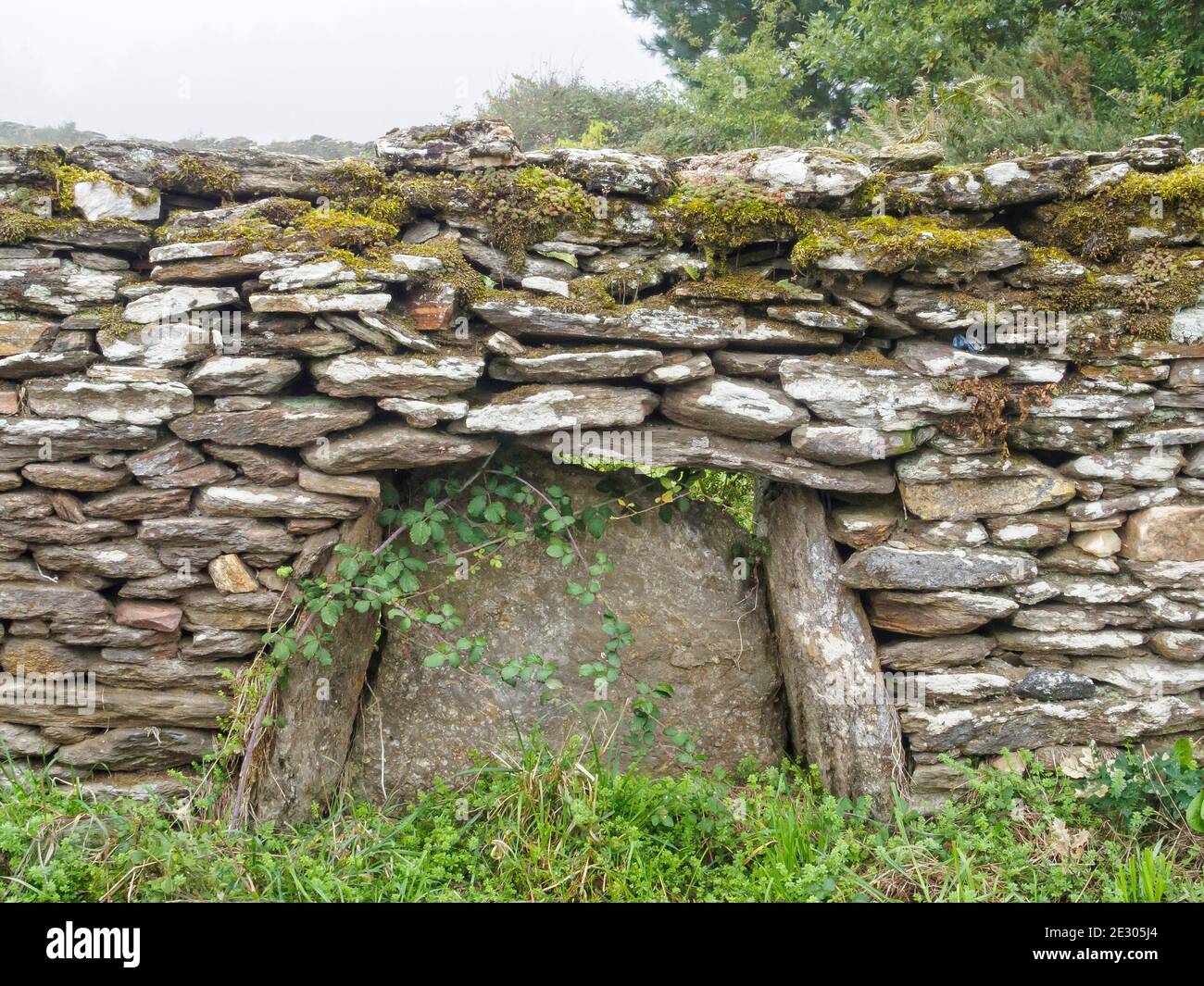 Vecchio muro di pietra a secco coperto di muschio - Mercadoiro, Galizia, Spagna Foto Stock