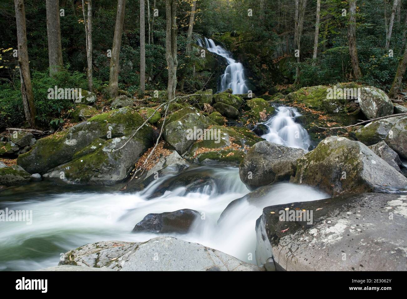 NC00222-00...CAROLINA DEL NORD - le cascate di mouse Creek che scorrono nel Big Creek nel Great Smoky Mountains National Park. Foto Stock