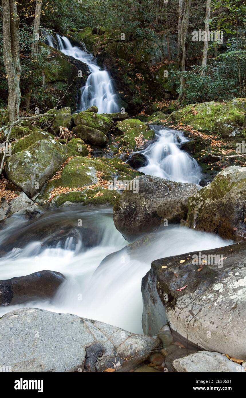 NC00223-00...CAROLINA DEL NORD - le cascate di mouse Creek che scorrono nel Big Creek nel Great Smoky Mountains National Park. Foto Stock