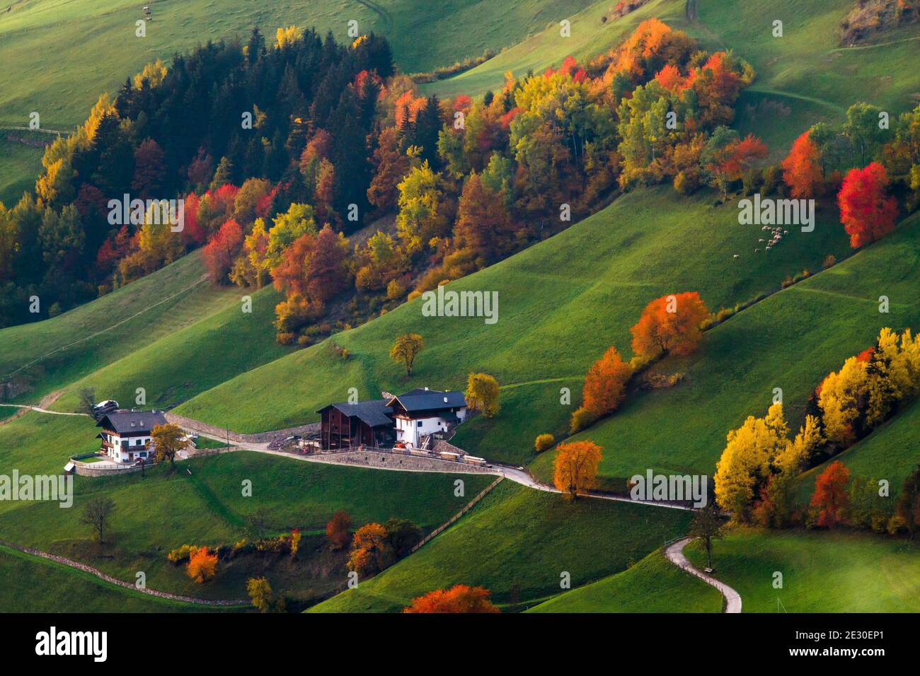 Vista dei colori dell'autunno nella Valle di Funes. Val di Funes, Alpi Dolomiti, Trentino Alto Adige, Italia. Foto Stock