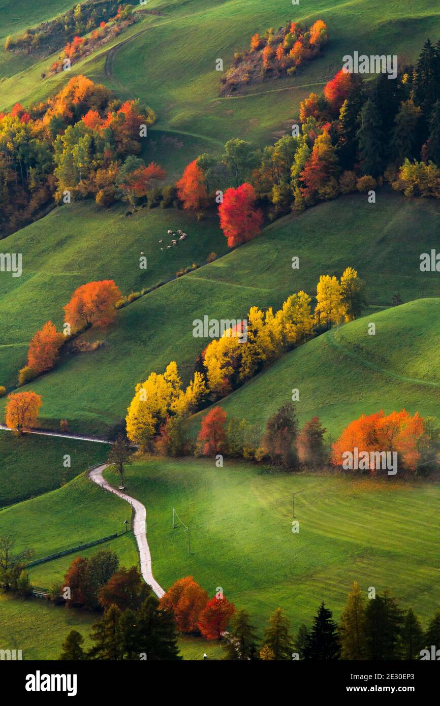 Vista dei colori dell'autunno nella Valle di Funes. Val di Funes, Alpi Dolomiti, Trentino Alto Adige, Italia. Foto Stock