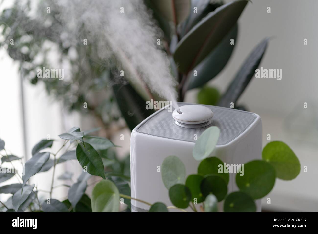 Primo piano del vapore proveniente dall'umidificatore dell'aria durante il periodo di riscaldamento a casa circondata da piante di casa Foto Stock