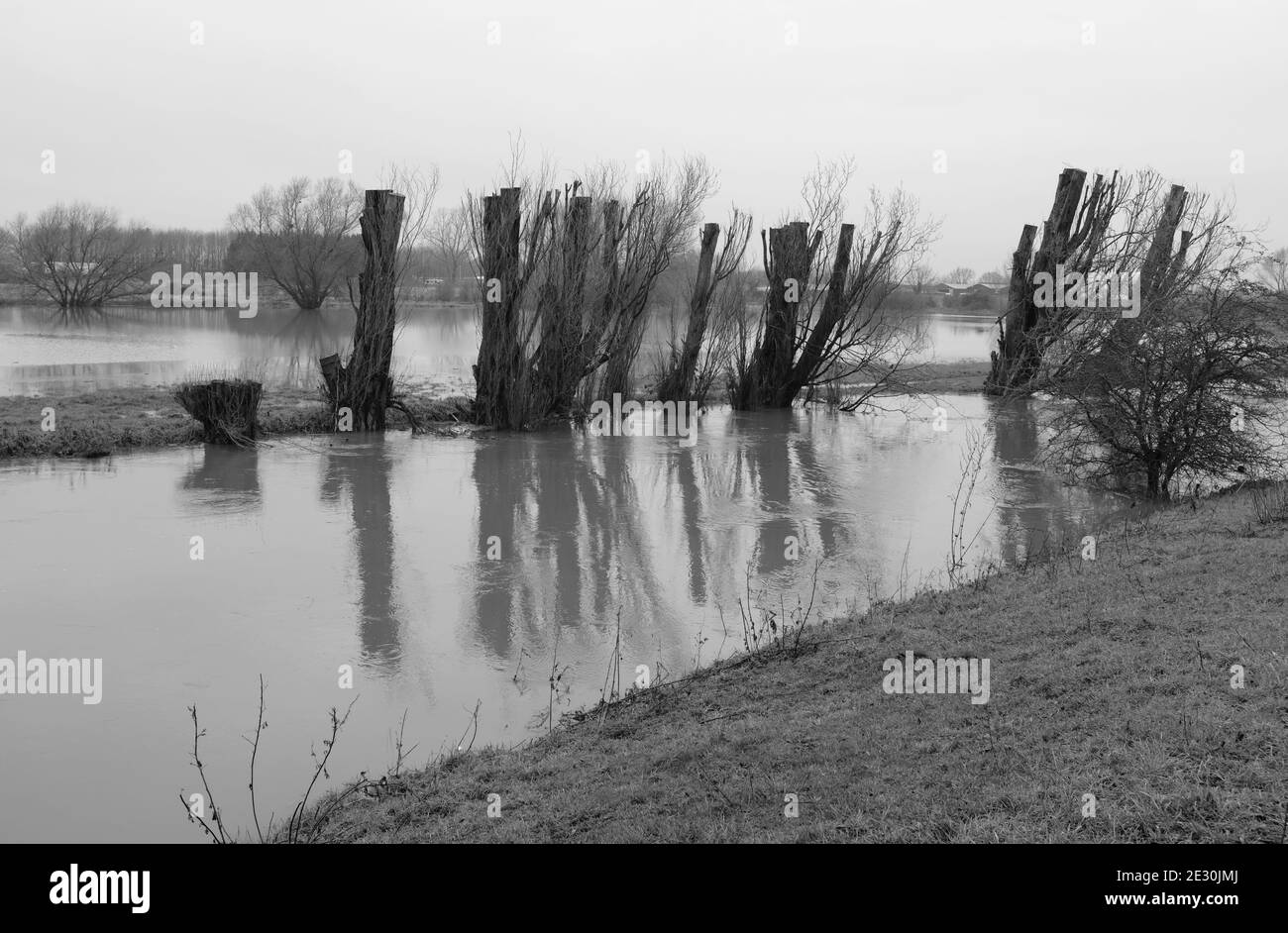 Il fiume Ivel che allagano i campi, Biggleswade, Inghilterra Foto Stock