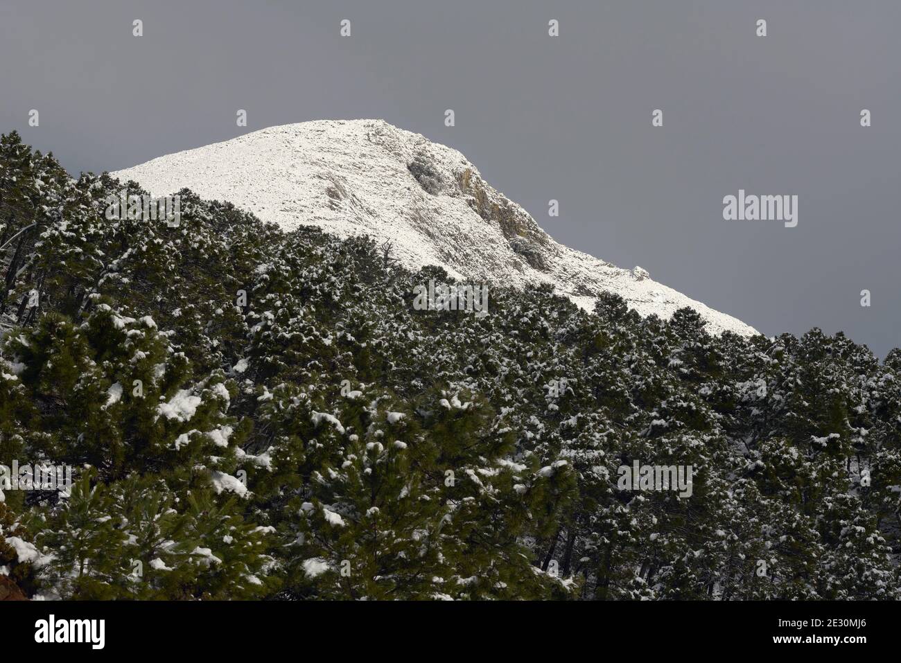 Nevicate nel parco nazionale della Sierra de las Nieves a Malaga. Andalusia, Spagna Foto Stock