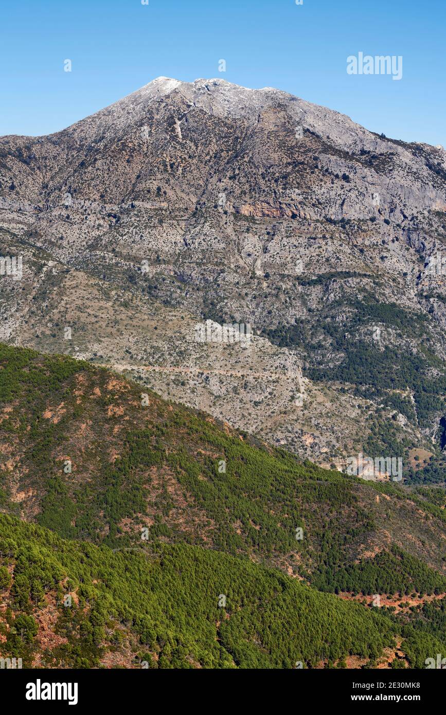 Cima di Torrecilla nel Parco Nazionale della Sierra de las Nieves nella Ronda Sierra, Malaga. Andalusia, Spagna Foto Stock