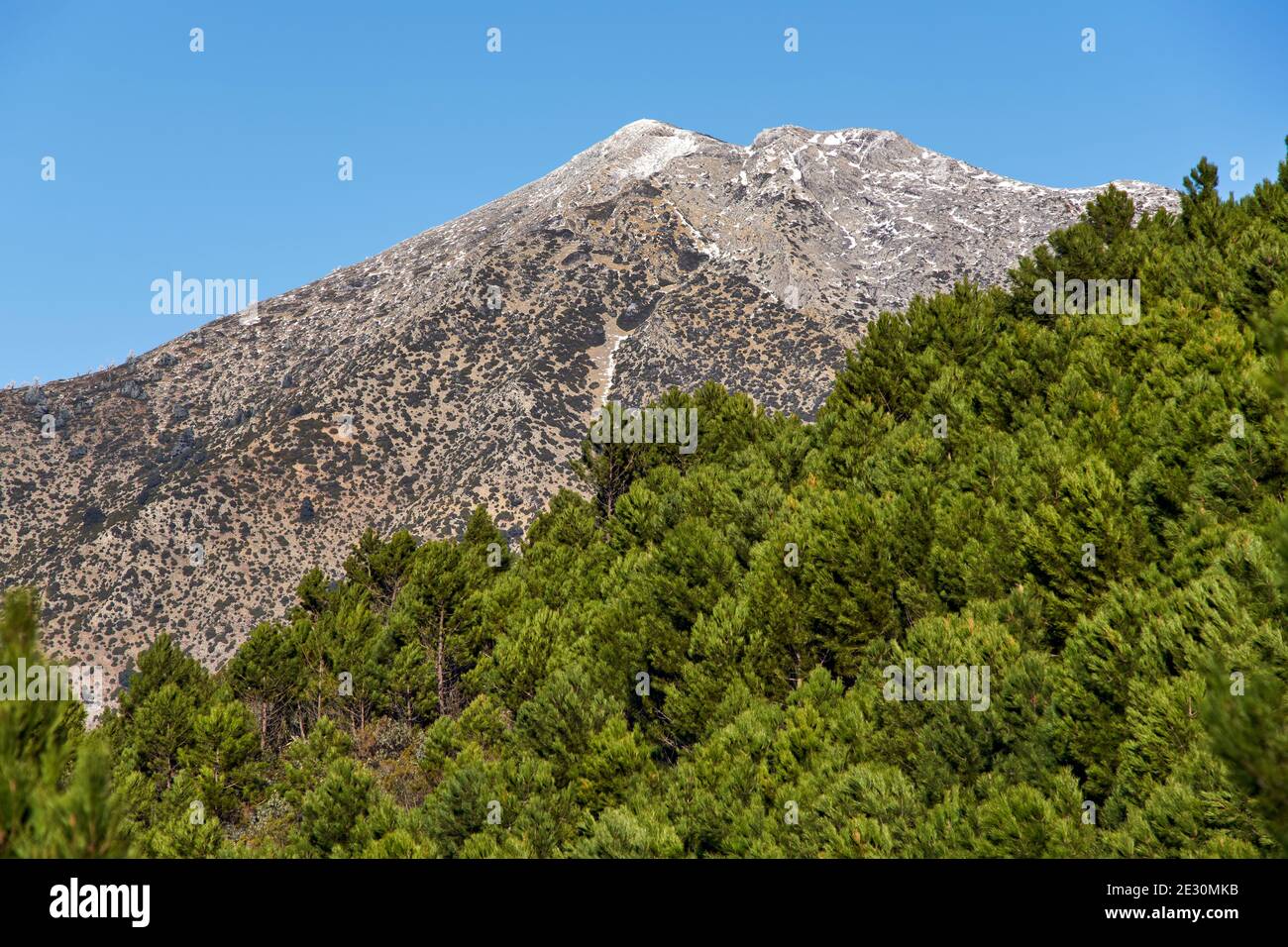 Cima di Torrecilla nel Parco Nazionale della Sierra de las Nieves nella Ronda Sierra, Malaga. Andalusia, Spagna Foto Stock