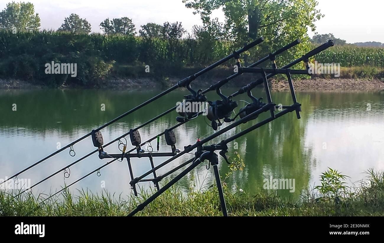 Pesca selettiva di carpe in un lago in Piemonte, Italia. Foto Stock