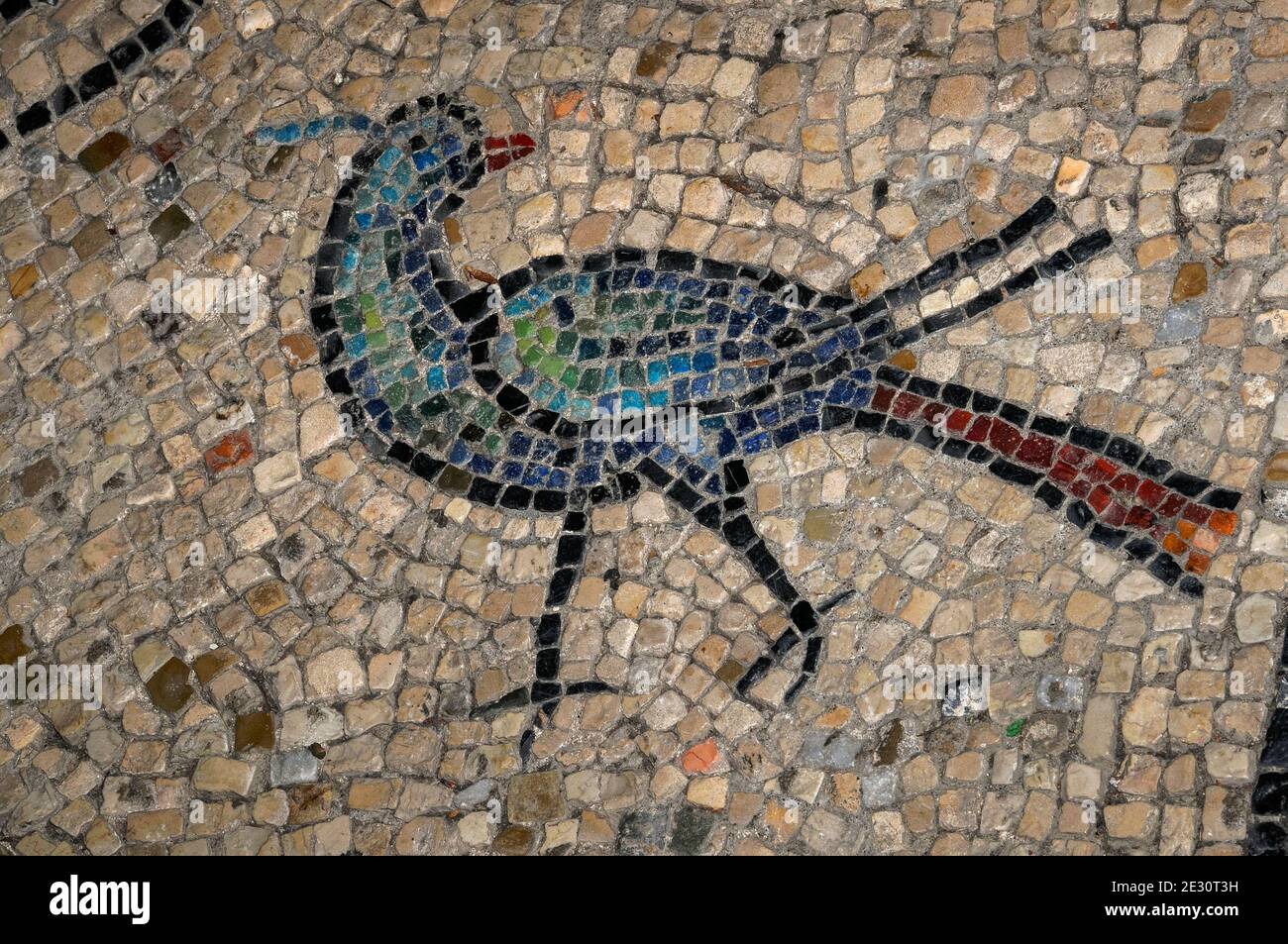 Uccello con piumaggio blu e verde e una lunga coda rosso scuro. Particolare dal mosaico a pavimento della Basilica di San vitale a Ravenna, Emilia-Romagna, Italia, una chiesa del vi secolo iniziata dagli Ostrogoti e completata dai Bizantini. Foto Stock