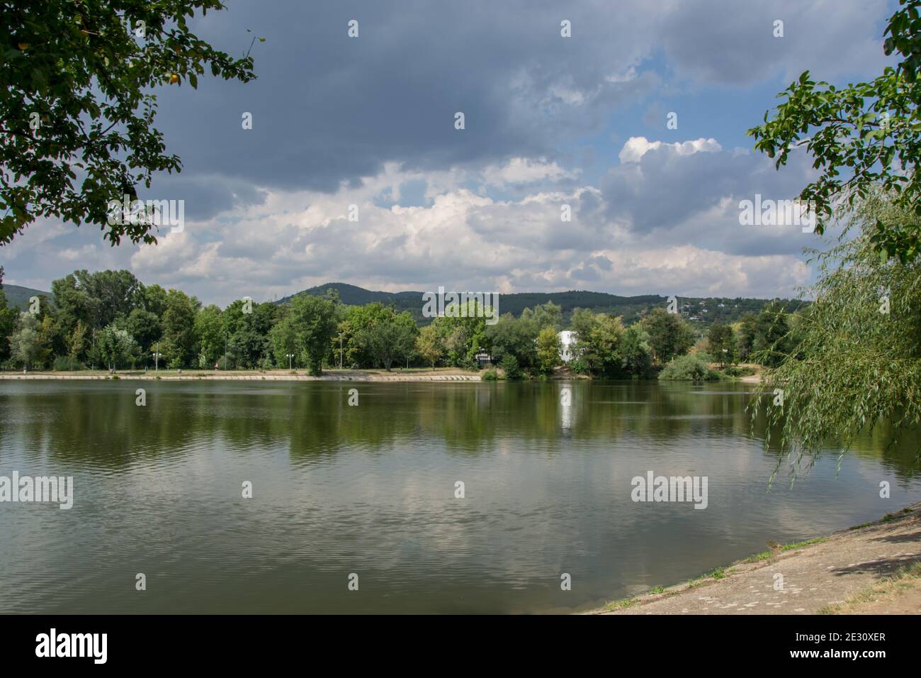 Bella natura tranquilla, alberi e piante su un lago, stagione estiva, riflessione in acqua, lago Zagorka, Stara Zagora, Bulgaria Foto Stock