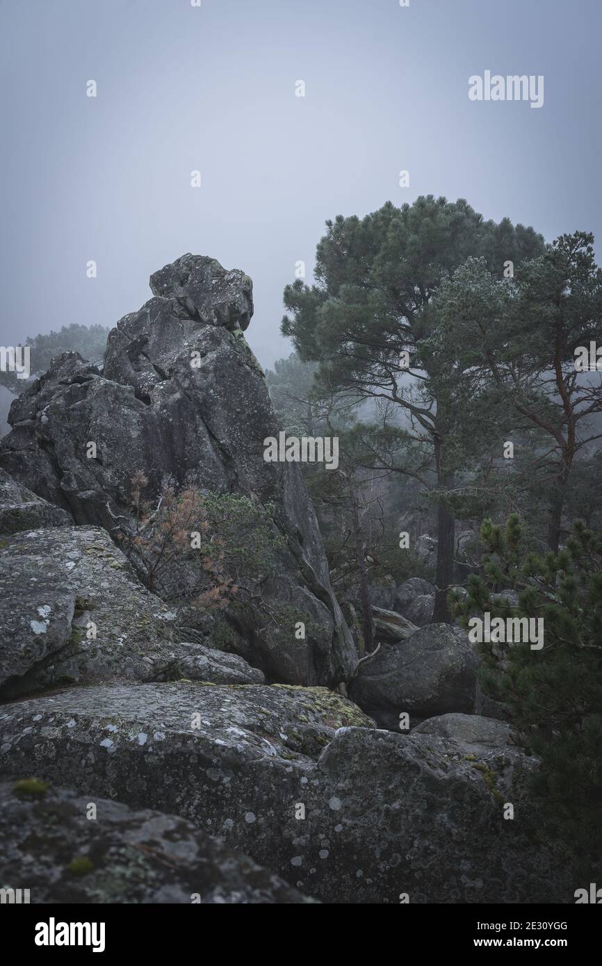 Un grappolo di rocce di arenaria su una cresta nella foresta di Fontainebleau in Francia in una giornata fredda, scura e grigia Foto Stock