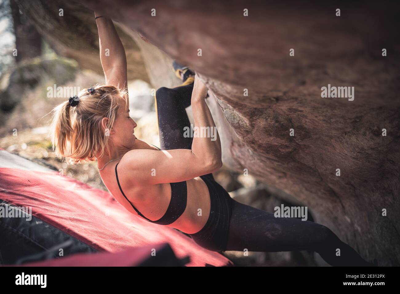 Una forte atleta rock climber bouldering all'aperto a Fontainebleau, Francia Foto Stock