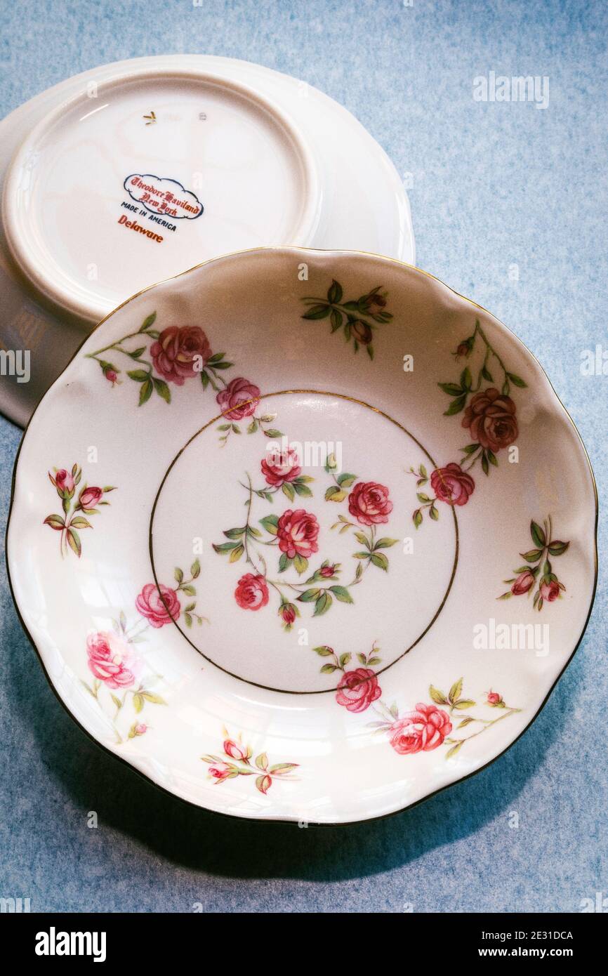 Still Life of Theodore Haviland china Delaware pattern, USA Foto Stock