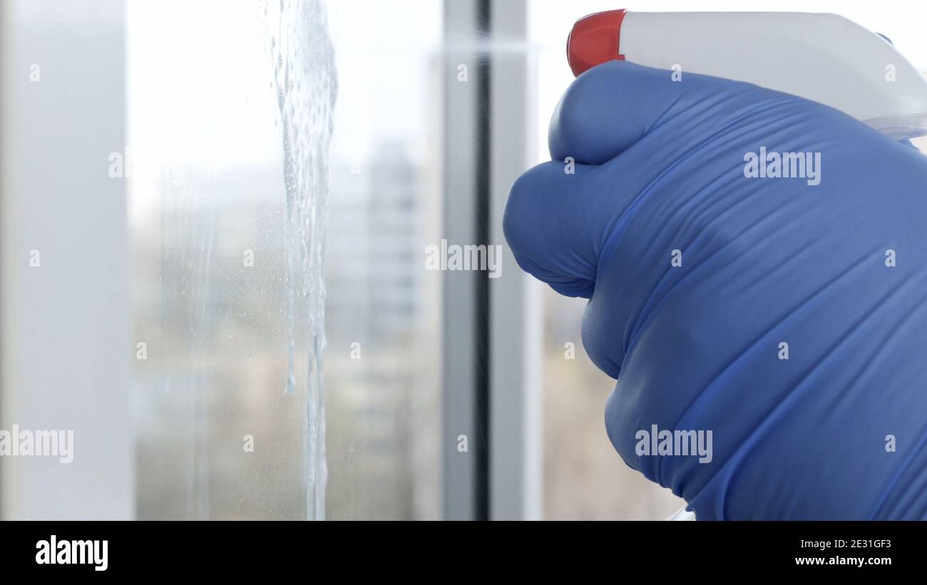 Immagine con le mani indossare guanti protettivi pulire una finestra usando Liquido disinfettante spruzzato Foto Stock