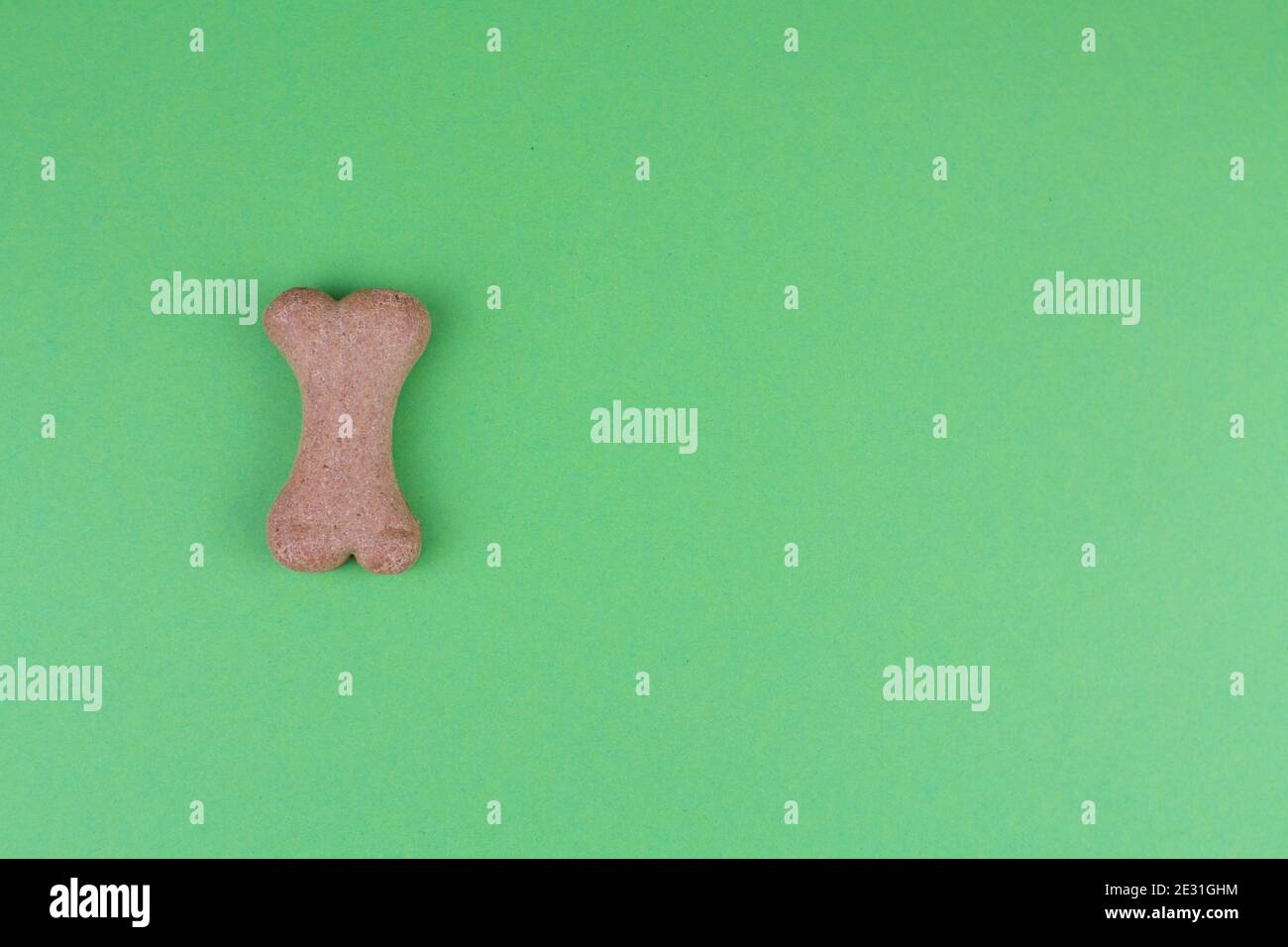 un cane cibo ossa su sfondo verde modello Foto Stock