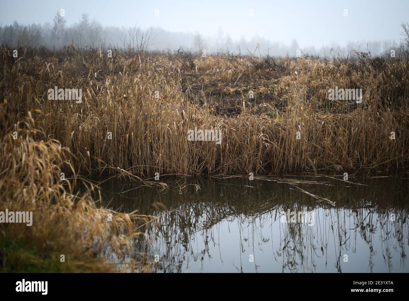 Grigio giorno autunnale vicino al fiume con acque profonde e scure senza sole Foto Stock