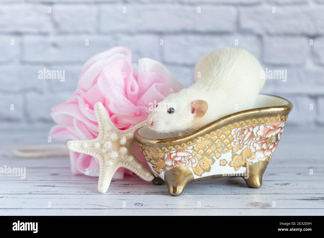 Un ratto decorativo bianco carino prende un bagno. Nelle vicinanze si trovano una stella marina e un lavabo rosa Foto Stock
