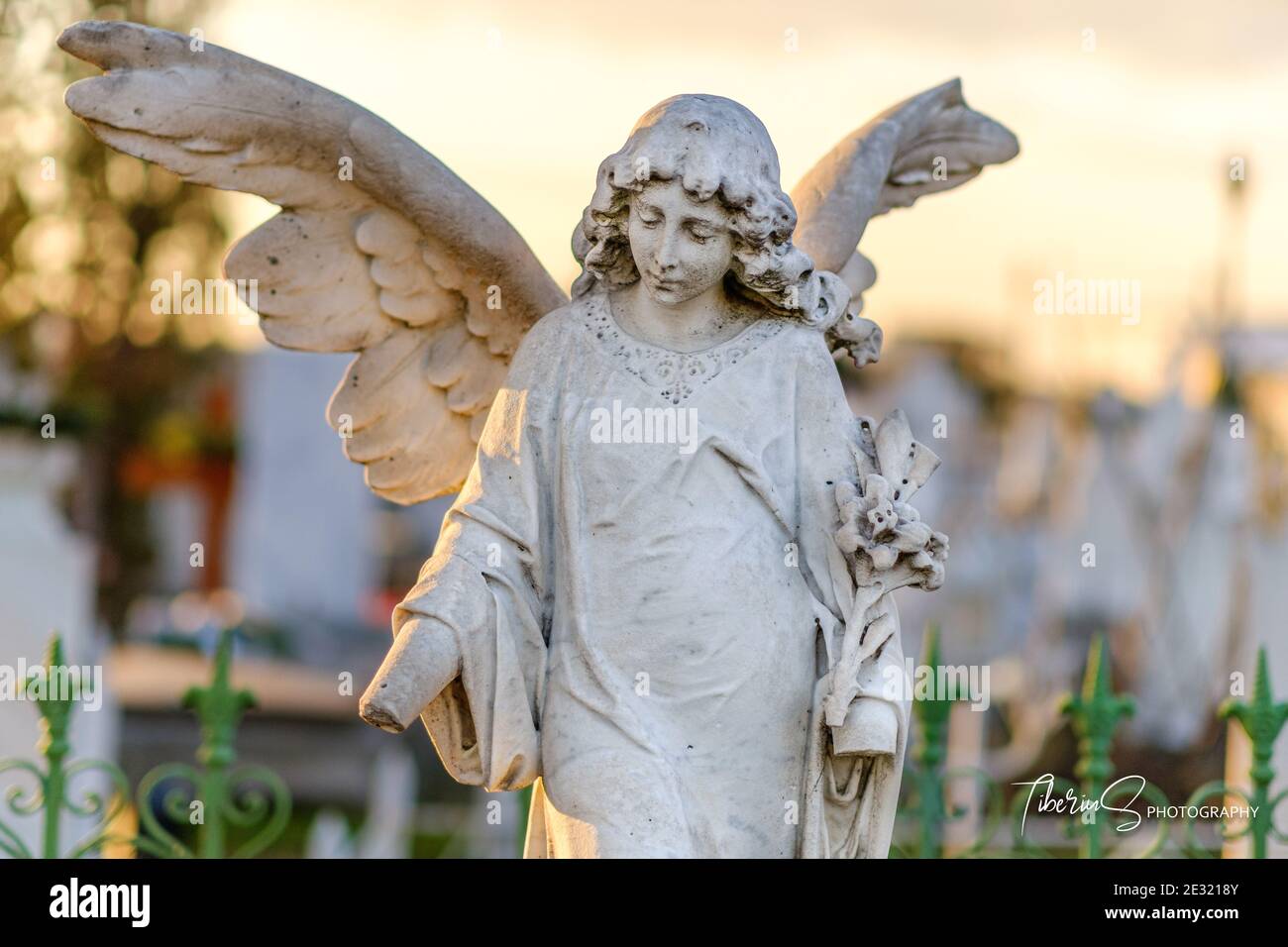 Le mani rotte giovane angelo donna con enormi ali monumento funerale, statua in marmo bianco su una tomba cimitero. Foto Stock