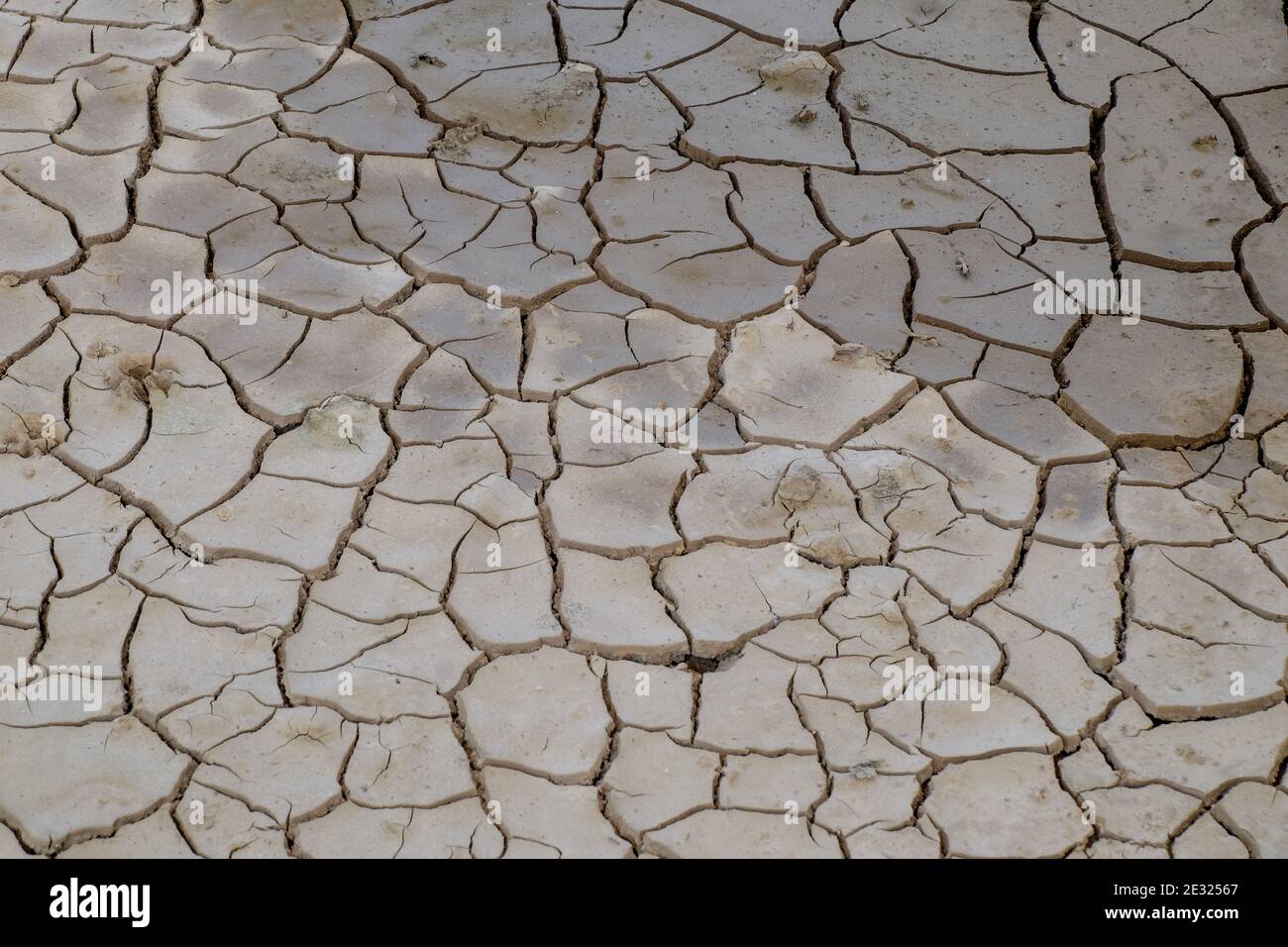 Suolo anidro. Terreno incrinato senza acqua. Terra arida. Siccità è coming.Animal impronte su suolo essiccato Foto Stock