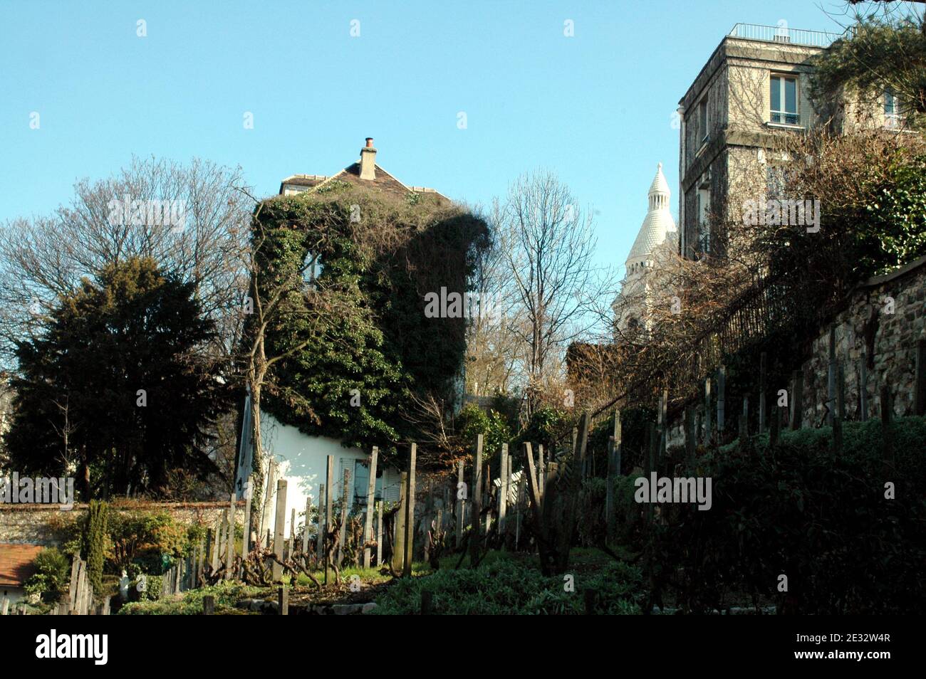 "Illustrazione del vigneto in Rue Saint-Vincent nel quartiere Montmartre, 18 ° distretto di Parigi, Francia, il 29 luglio 2010. Il vigne de Montmartre, il più famoso dei vigneti parigini, il suo vino è piuttosto costoso; i guadagni sono utilizzati per aiutare le istituzioni sociali. I vigneti sono fioriti su Montmartre da quando i Romani costruirono qui un tempio dedicato a Bacco, dio del vino. Un'abbazia benedettina è stata creata sulla collina nel 12 ° secolo, ma distrutta durante la rivoluzione francese. All'inizio degli anni '30 un gruppo di artisti locali guidati da Francis Poulbot, un famoso illustratore, presentò una petizione alla g. Foto Stock