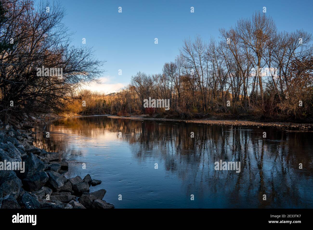Un grande airone blu attende la preda lungo il fiume Boise dell'Idaho all'ultima luce di un pomeriggio di fine autunno. Foto Stock