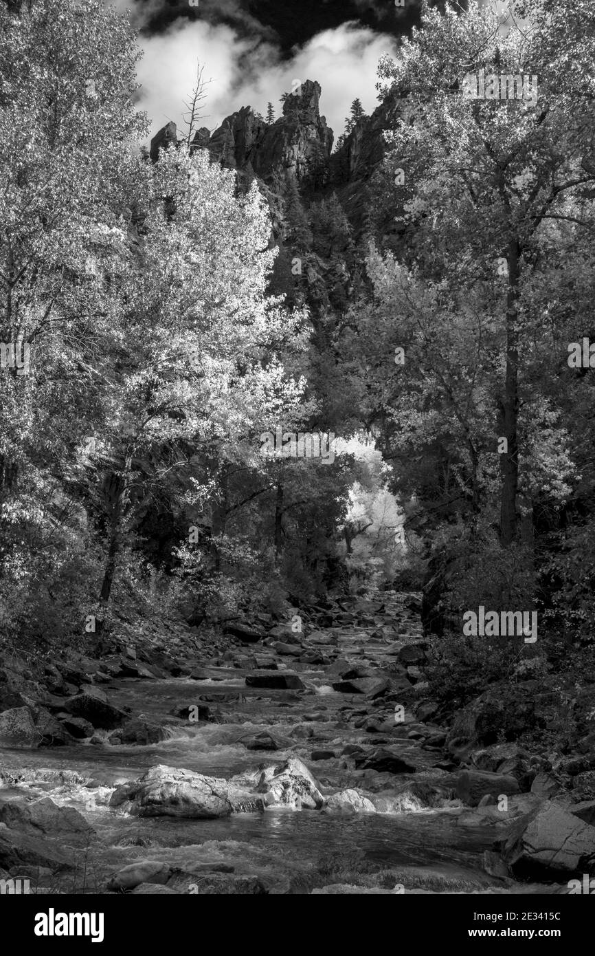 Spettacolari alberi autunnali e pareti del canyon lungo l'epica North Fork del fiume Boise, Boise National Forest, Idaho, USA Foto Stock