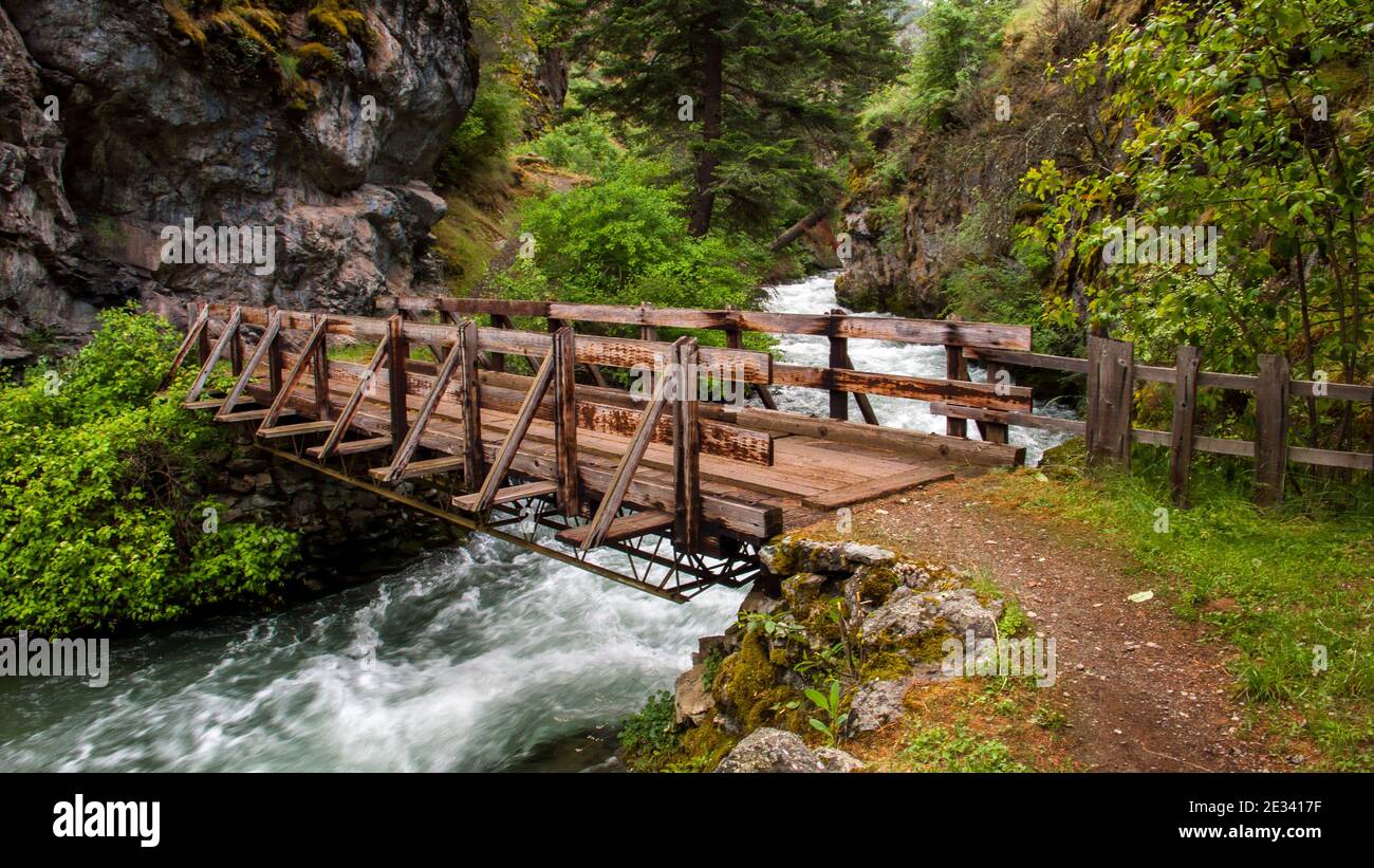 Il primo ponte pedonale che attraversa il West Fork del Wild e Scenic Rapid River in direzione sud dal sentiero n. 113 della FS vicino a Riggins, Idaho. Foto Stock