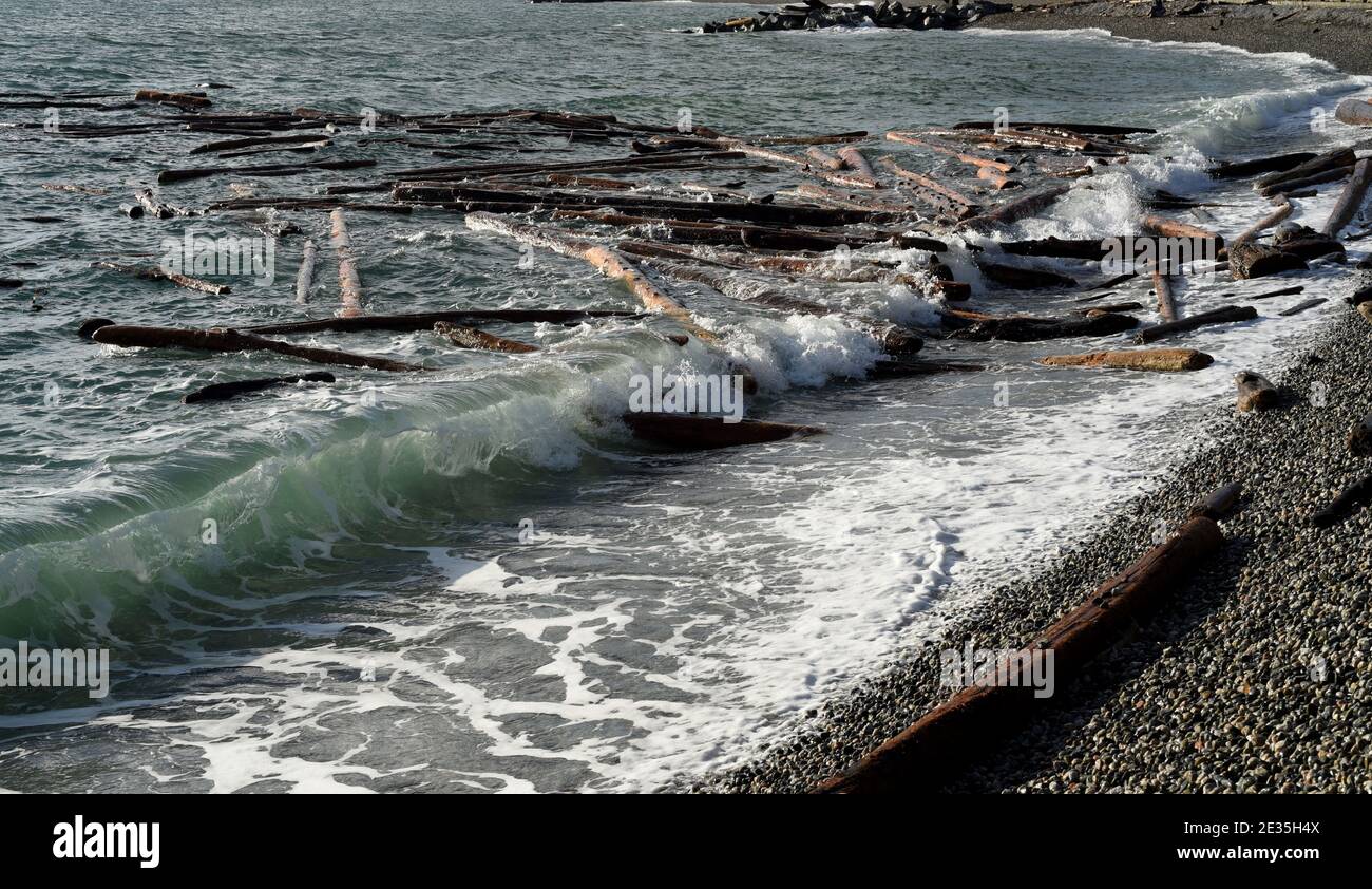 Vento e onde da una tempesta invernale trasporta i logs sciolti su una spiaggia sull'isola di Vancouver, Columbia Britannica, Canada Foto Stock