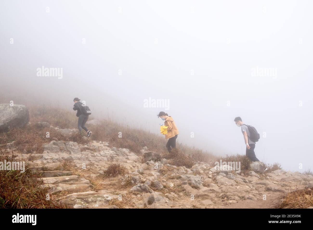 Nella nebbia dell'isola di Lantau, l'inverno rivela una bellezza inquietante, mentre gli alberi si stagliano nel mistero, invitando alla serena contemplazione lungo sentieri nebbiosi Foto Stock